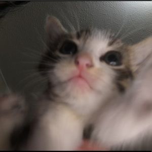 Meet your Posher, Caryn